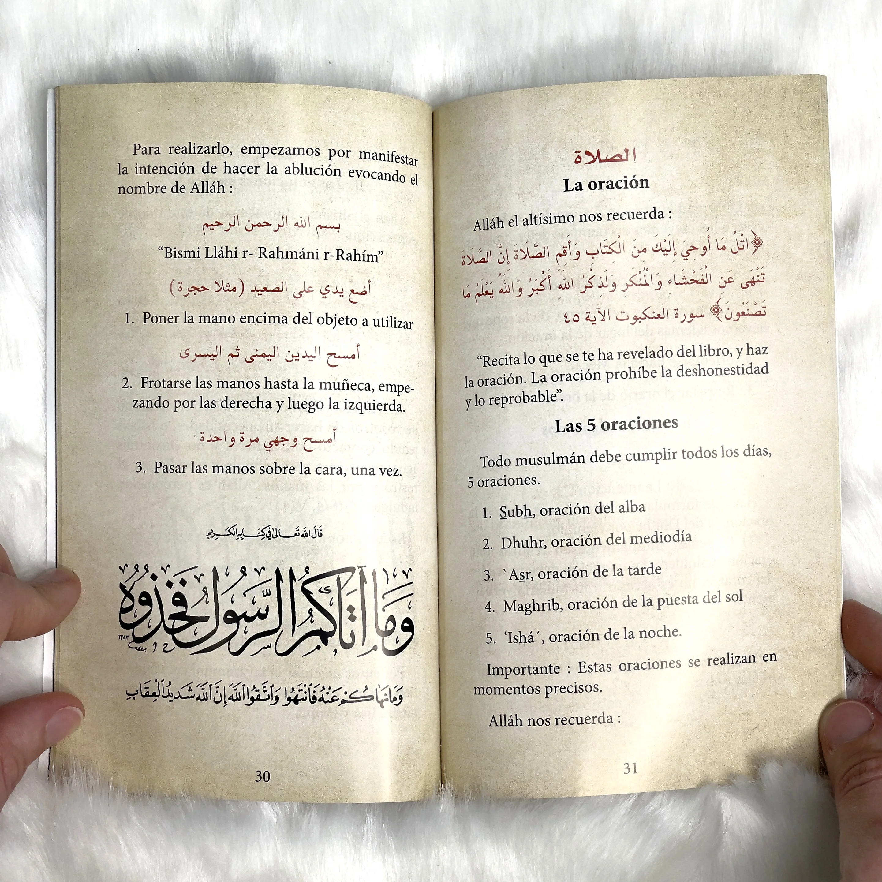 PACK REGALO EDUCATIVO - Image 4